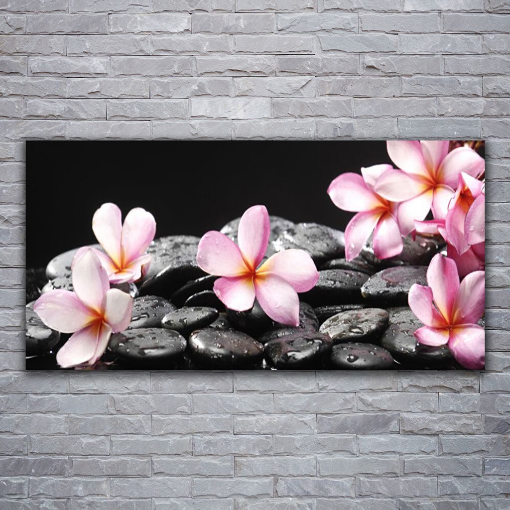 Glasbilder 120x60 Wandbild Druck auf Glas Blumen Steine Pflanzen