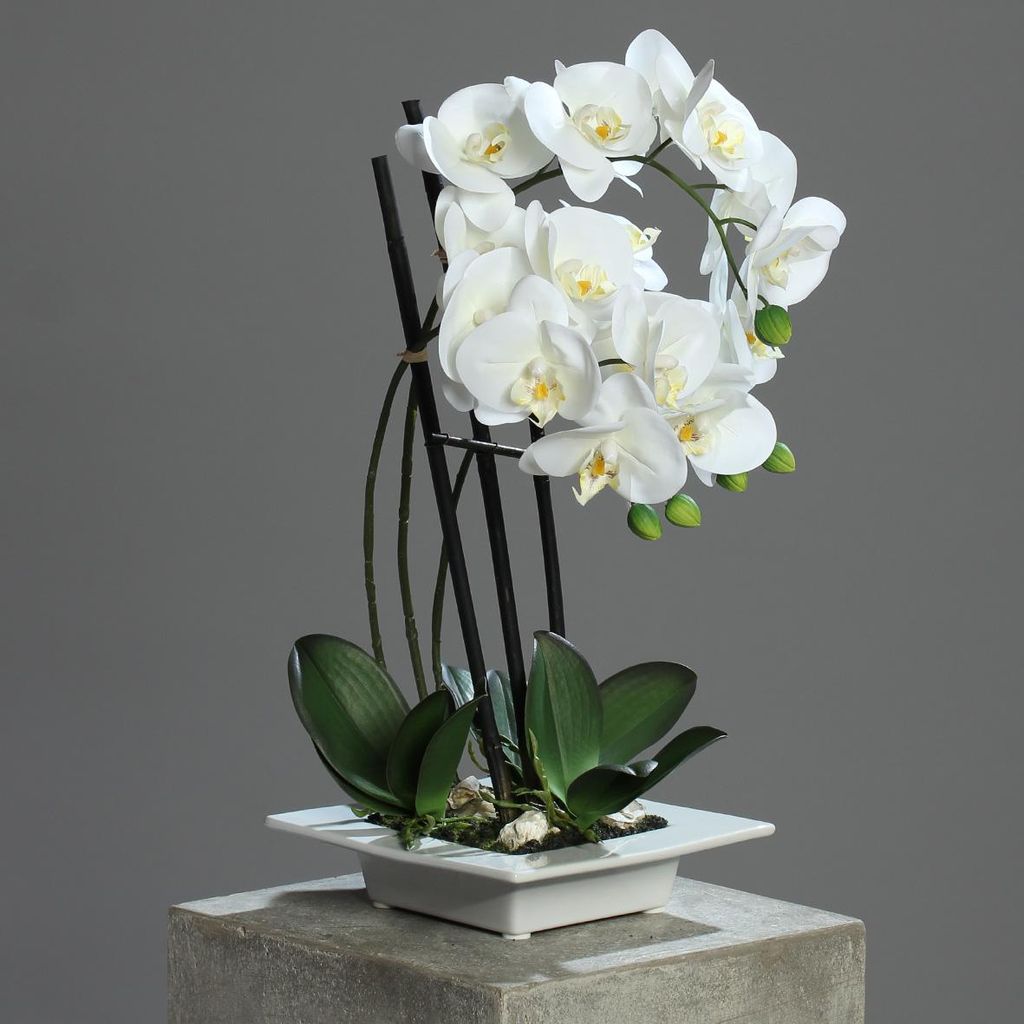 künstliche Orchidee, Phalaenopsis weiß in weißer Produktbild 