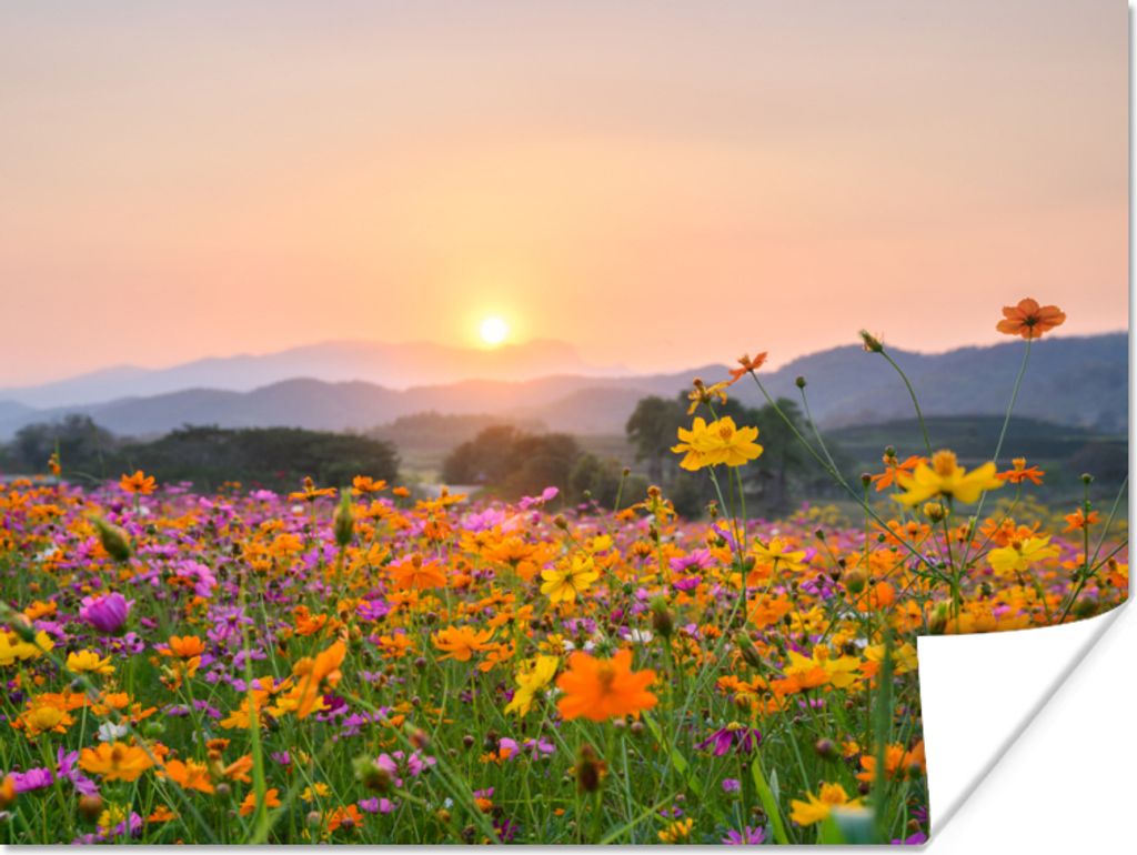MuchoWow Poster Blumen - Sonnenuntergang - Berg 40x30 cm - Plakate für die Wände - Poster Wohnzimmer