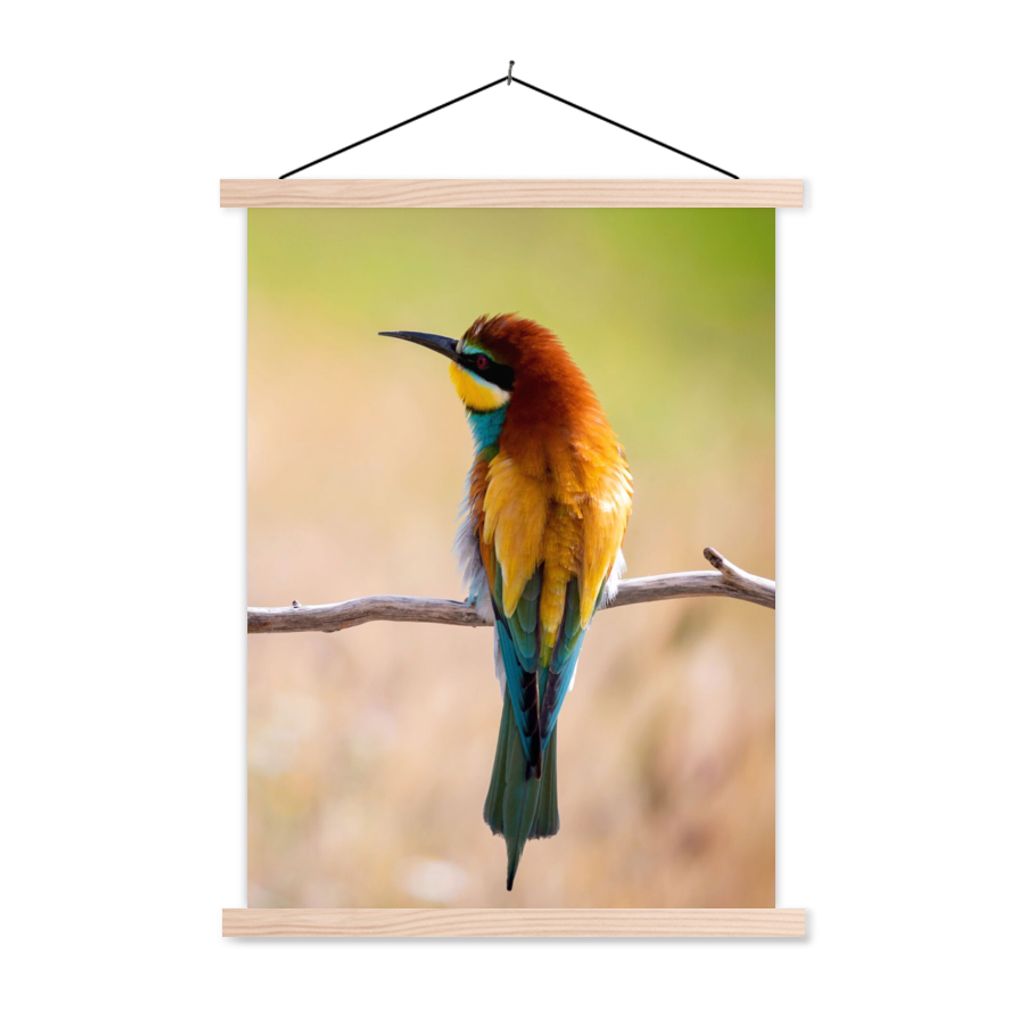 MuchoWow Textilposter Vögel - Bienenfresser - Tiere 40x53 cm mit holzfarbenen Rahmen - Schlafzimmer