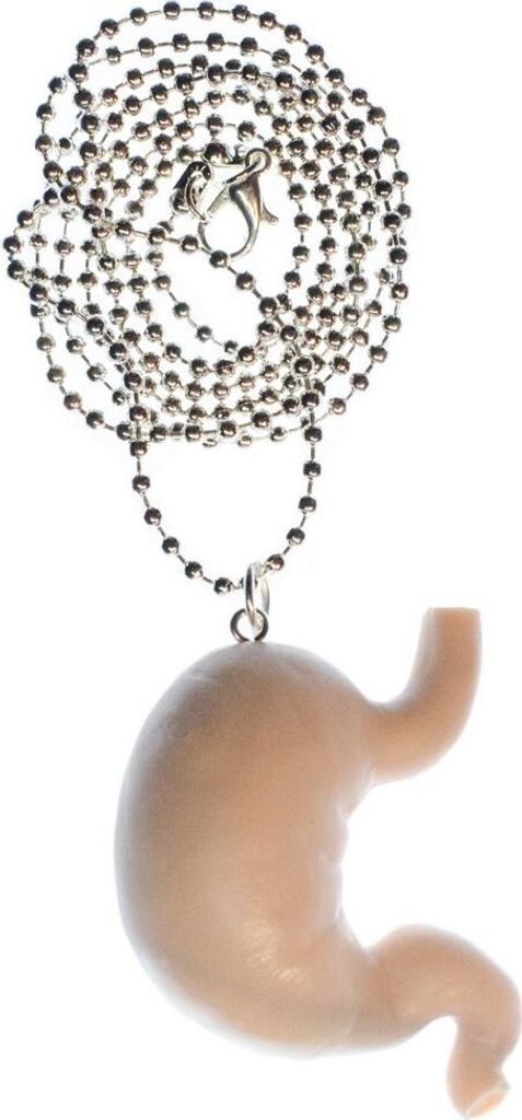 Magen Kette Halskette Miniblings 80cm Medizin Anatomie Organ Verdauung Zombie