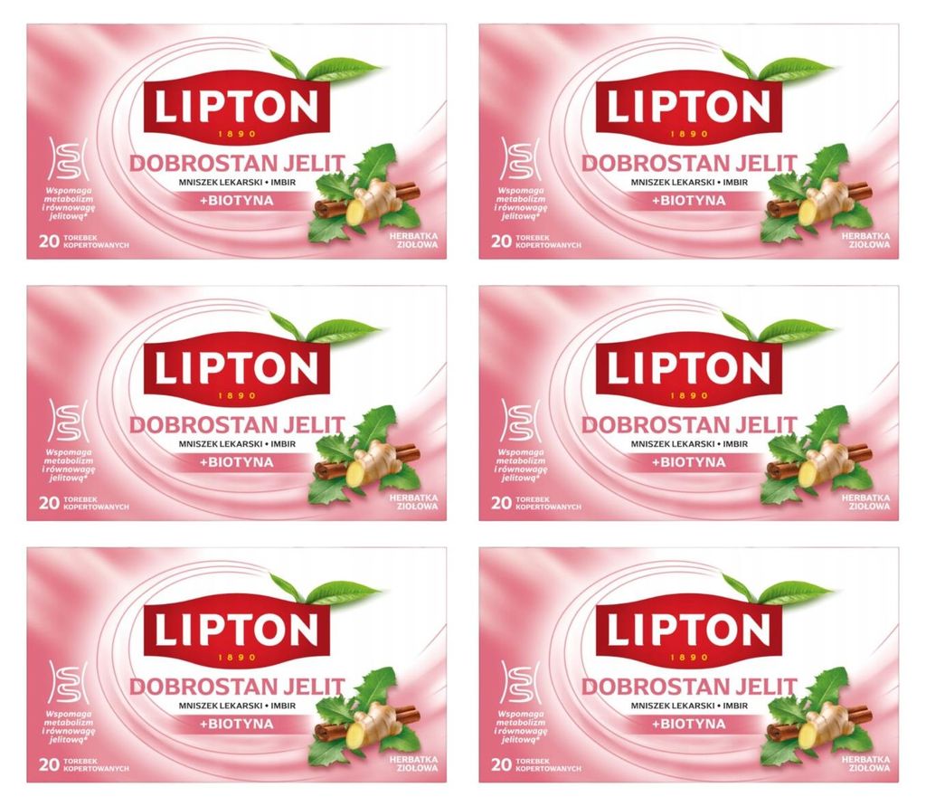 Lipton Darmwohl Kräutertee 6x 20 Teebeutel - Tee Löwenzahn Produktbild 