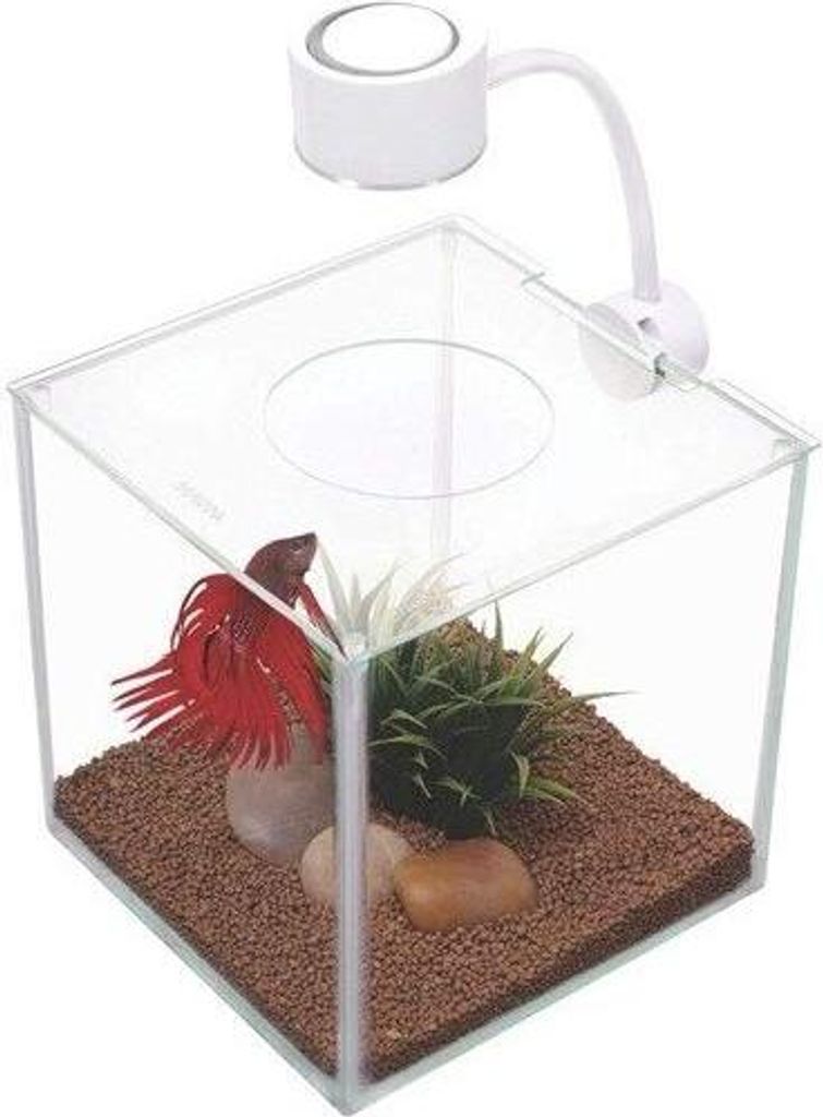 Marina Betta Cubus Kit Bettera, 3,4 l Produktbild 
