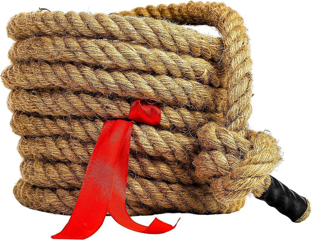 Corde de tir à la corde Franklin en jute de 6m pour jeux de plein air