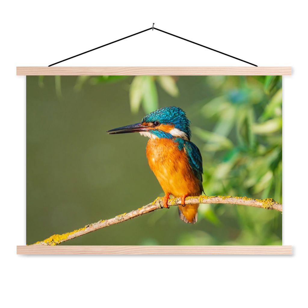 MuchoWow Textilposter Vogel - Eisvogel - Zweig - Blätter - Moos 120x80 cm mit holzfarbenen Rahmen - Aufhängeset