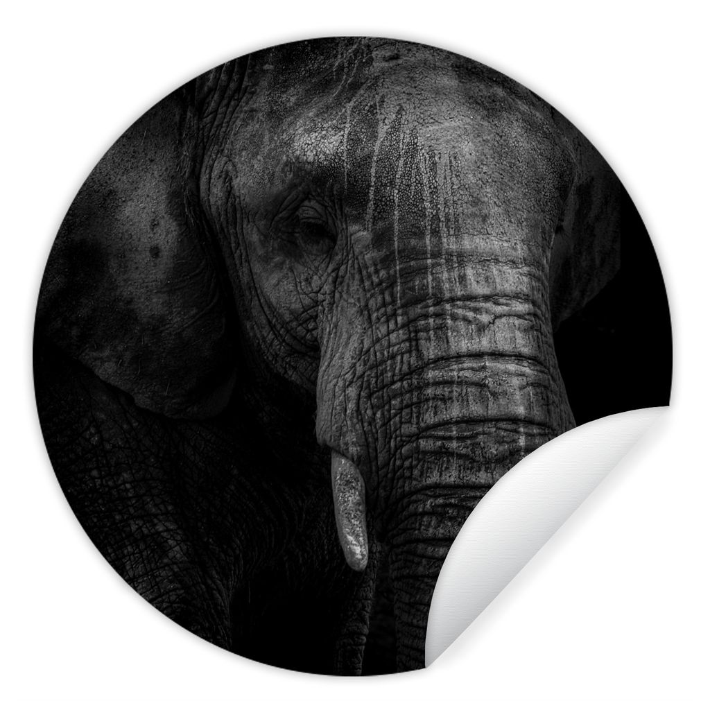 MuchoWow Runde Wandtattoo - Wandsticker Tapete Aufkleber Elefant - Tier - Porträt Ø 50 cm Selbstklebend und Repositionierbar - Wandaufkleber - ...