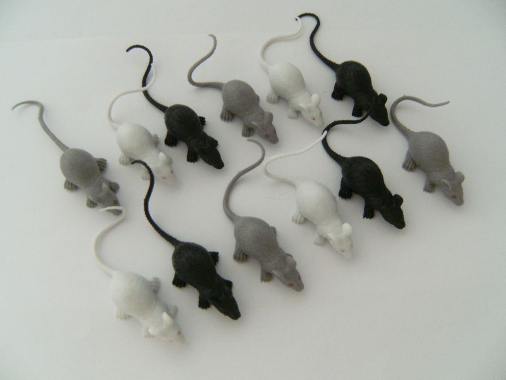 Mäuse 12erSet ca. 10 cm, Halloween, Spieltiere Spielzeug Produktbild 