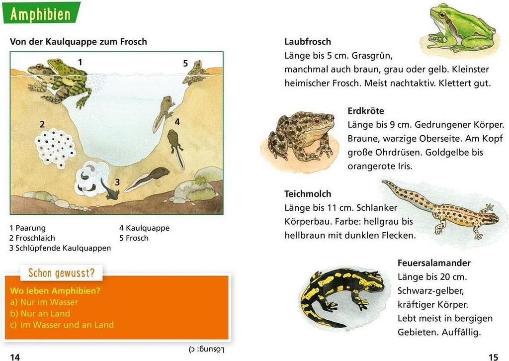 Pixi Wissen 30: Tiere erkennen