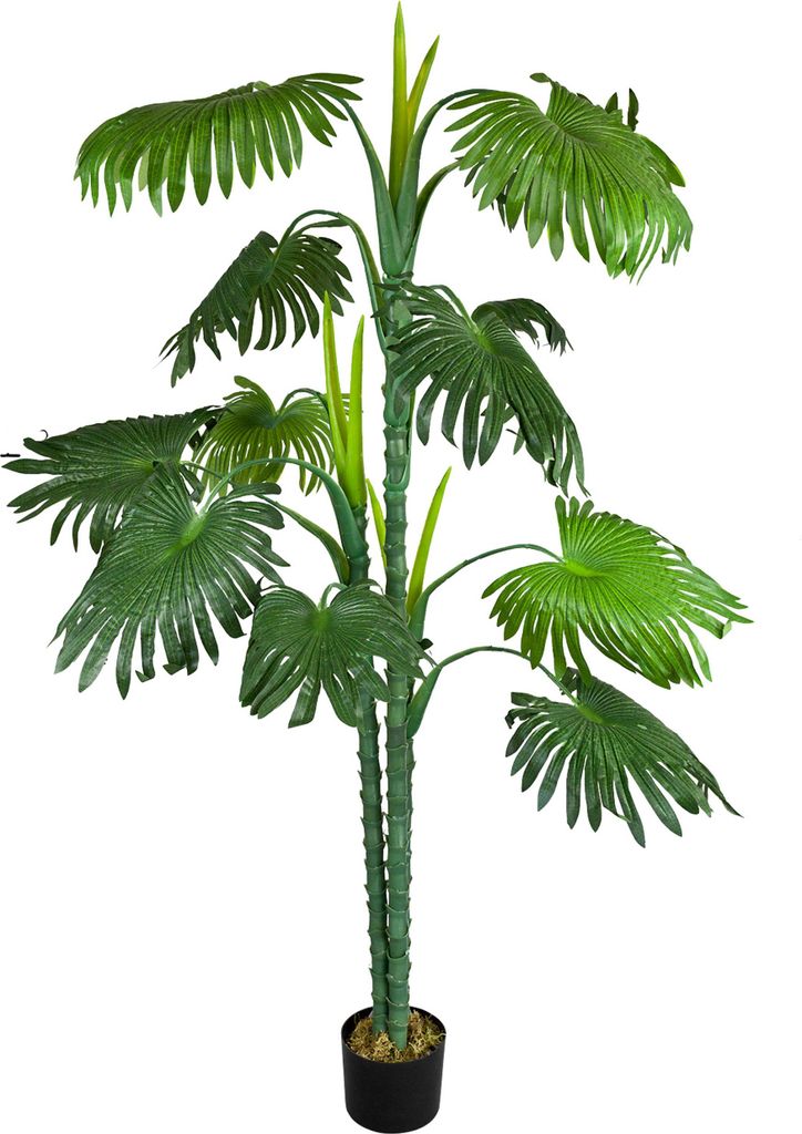 Palmier Tallipot Rônier Plante Arbre Artificielle Image du produit 