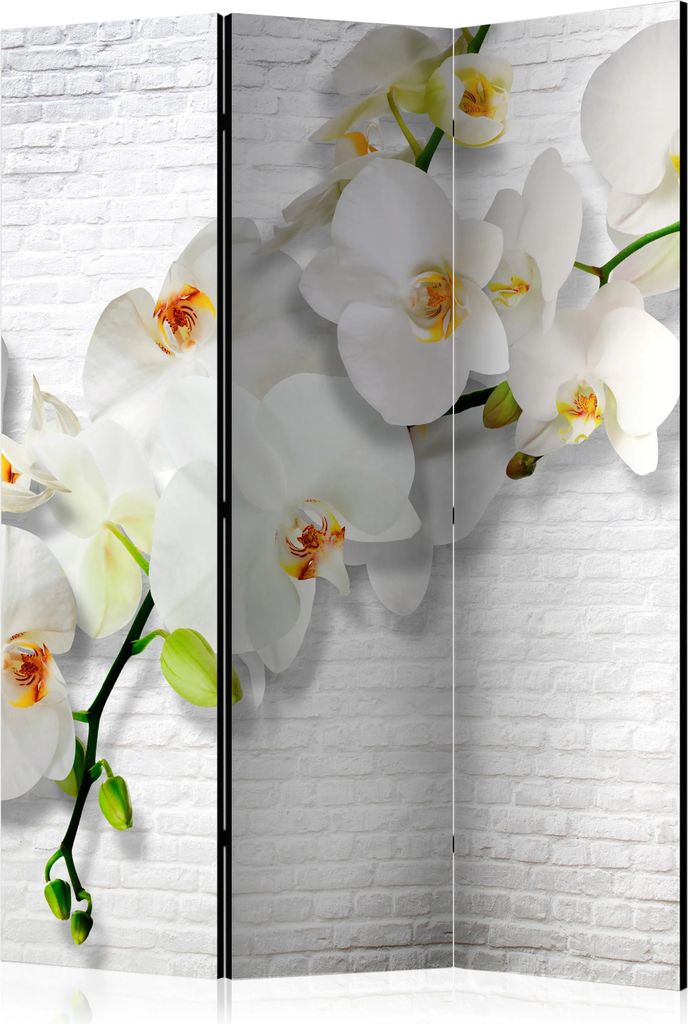 3-teiliger Doppelseitiger Vlies Paravent - The Urban Orchid 135x172 cm Blumen b-A-0089-z-b