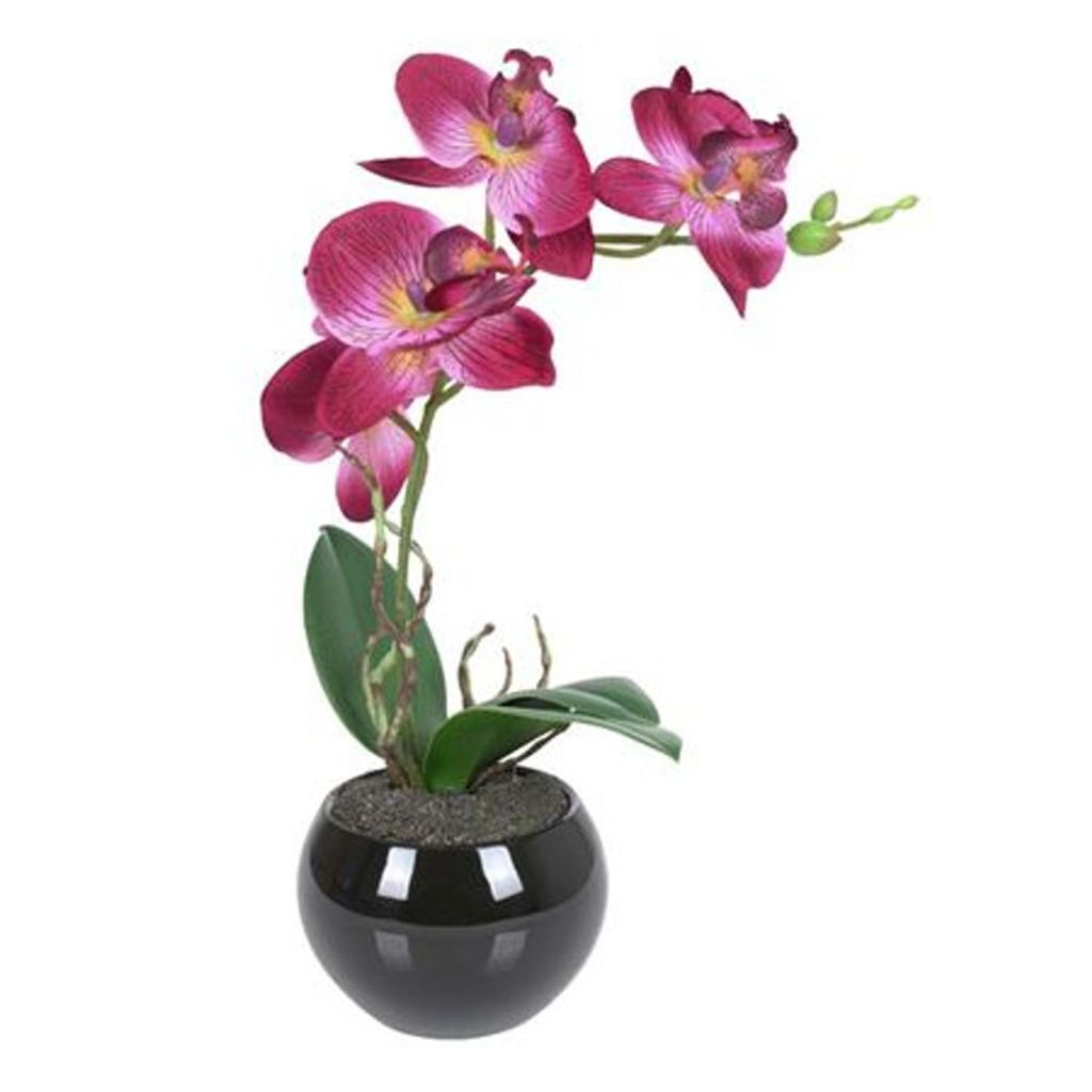 Künstliche Orchidee 34cm im Keramiktopf Kunstpflanze Produktbild 