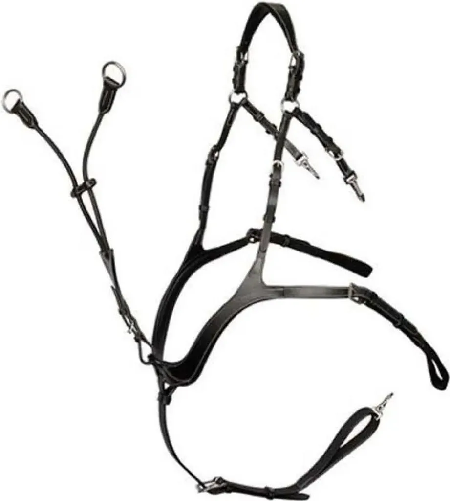 Évitez le Recul de la Selle avec ce Collier de Chasse Noir Cob Harry's Horse