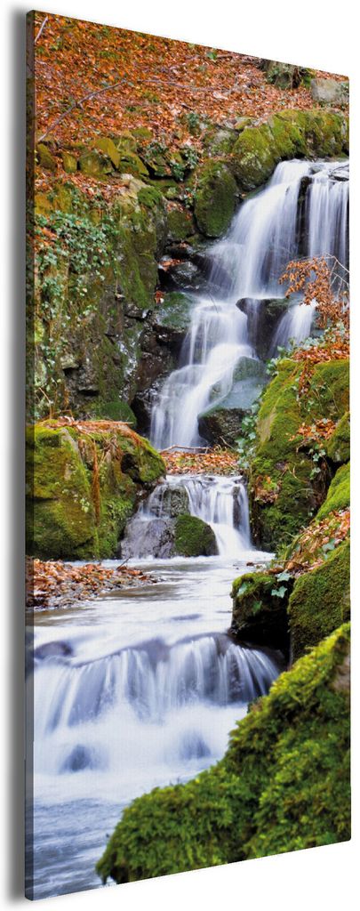 Wallario Premium Leinwandbild Bach im Wald in Größe 50 x 125 cm
