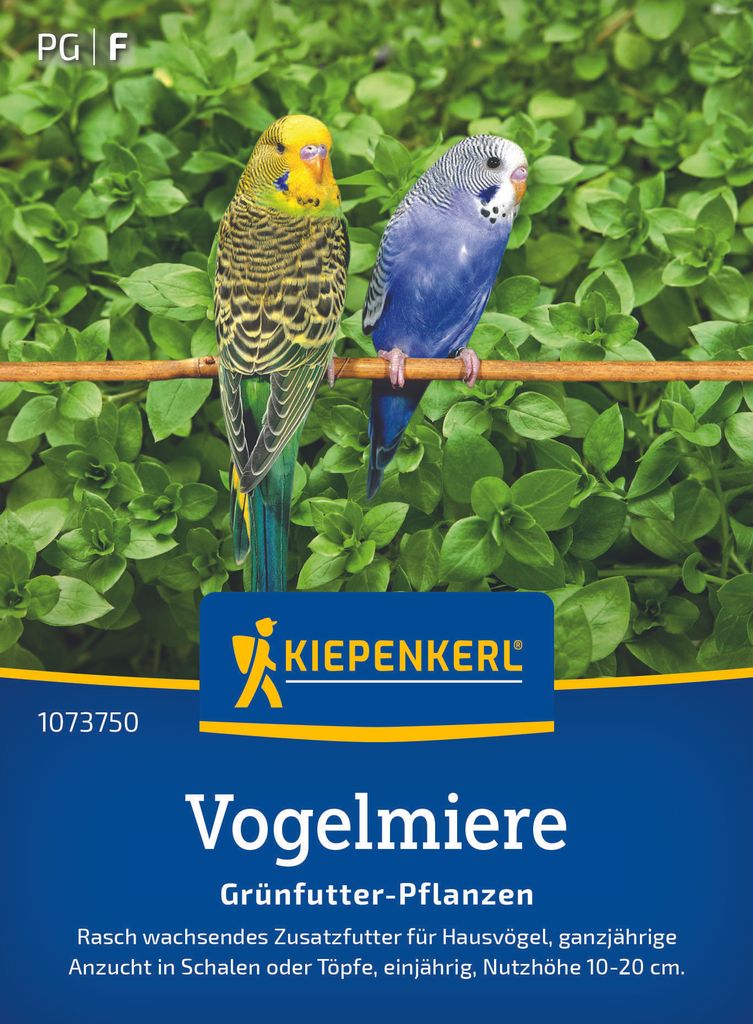 Kiepenkerl Vogelmieresamen Frischgrün-Futter Stellaria Produktbild 