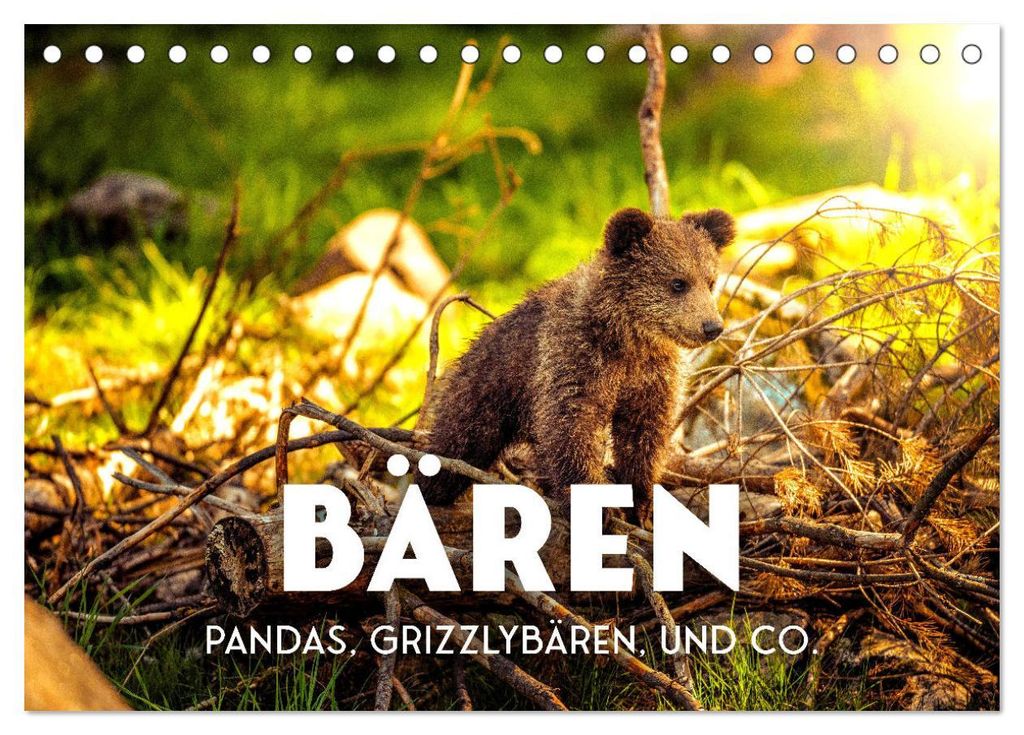 Bären - Pandas, Grizzlybären und Co. (Tischkalender 2027 DIN A5 quer), CALVENDO Monatskalender