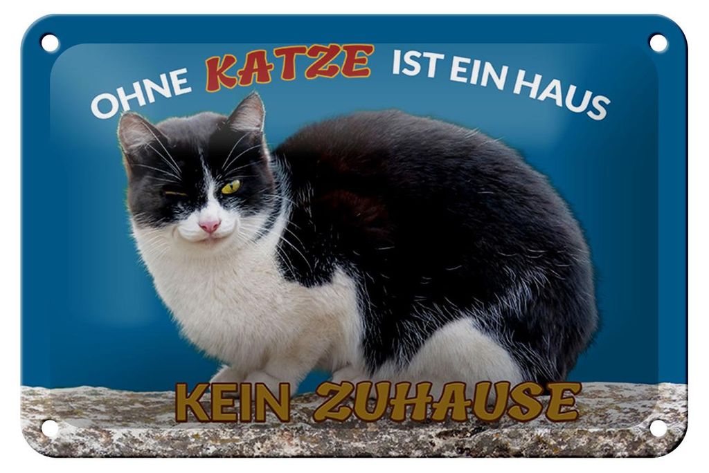 Blechschild Spruch 18x12cm Ohne Katze kein Zuhause