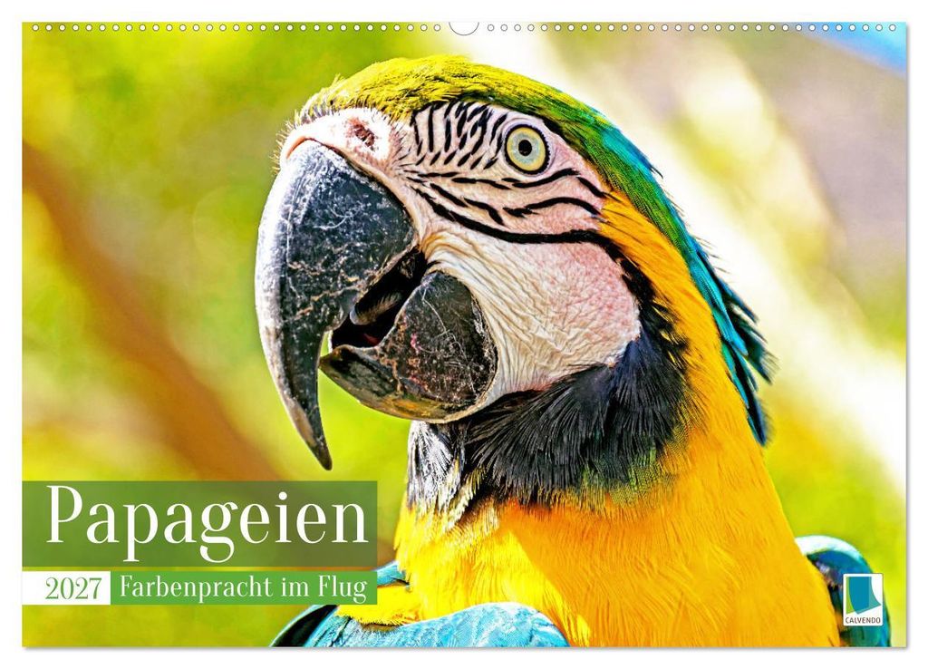 Papageien: Farbenpracht im Flug (Wandkalender 2027 DIN A2 quer), CALVENDO Monatskalender