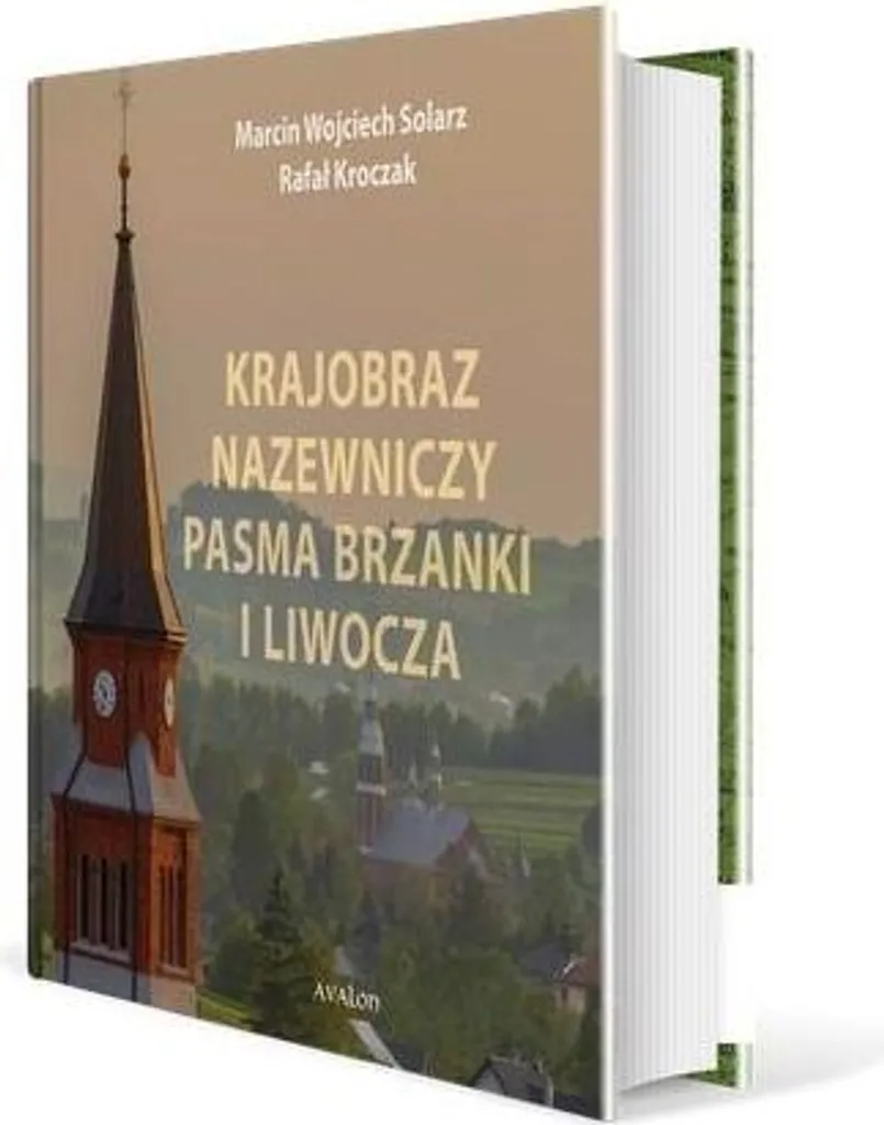 Habillez vos murs vides avec le Paysage de Brzanka et Liwocz Lumineux