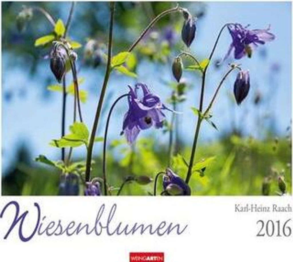 Wiesenblumen 2016