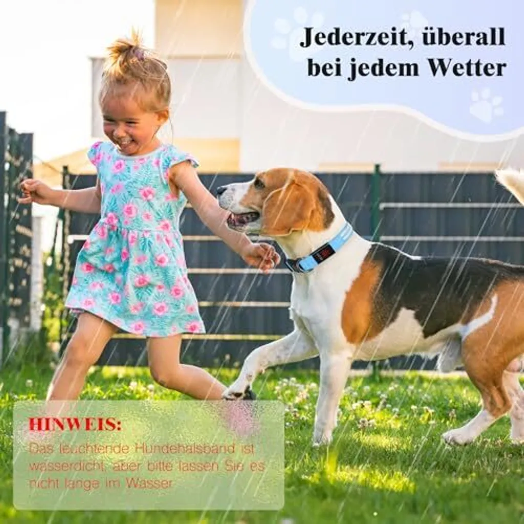 Collare LED Weesiber per Cani - Blu Notte Ricaricabile e Regolabile - 8