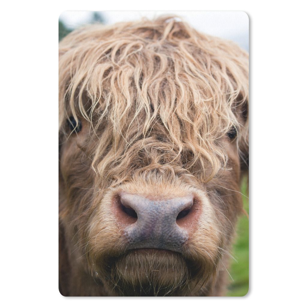 MuchoWow Mauspad Mousepad Schottische Highlander - Gras - Wald 40x60 cm - Mousepads - Maus Mat - Pad - Mausunterlage - Schreibtisch Accesoire