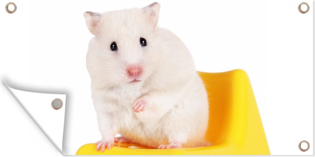 MuchoWow 60x30 cm Outdoor-Poster Gartendeko Sichtschutz Garten Poster für den Garten Weißer Hamster auf einem gelben Stuhl