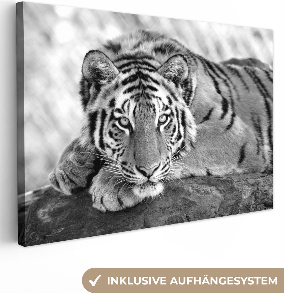 MuchoWow - Leinwandbilder - Tiger - Baum - Schwarz - Weiß, Wandbild, Wanddeko Bilder Wohnzimmer, 90x60 cm