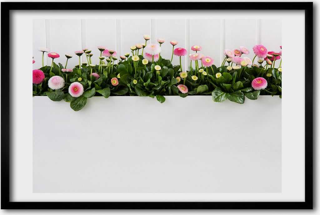Bild 60x40 MDF-Rahmen, Wandkunst rosa Gänseblümchen