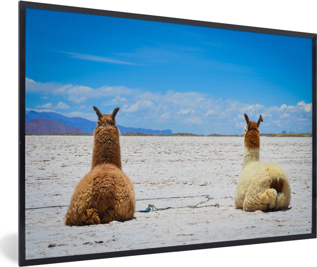 MuchoWow MuchoWow Gerahmtes Poster Lama - Tiere - Sand 60x40 cm - Poster mit zchwarzem Bilderrahmen - Printing - Wanddeko Schlafzimmer