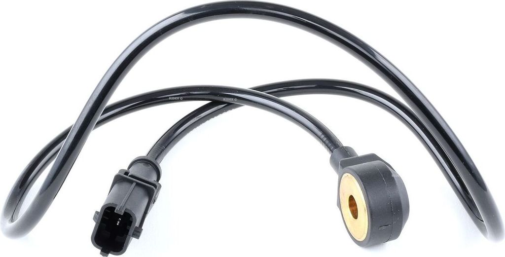 RIDEX Klopfsensor 3921K0031 für FIAT STILO (192) Produktbild 