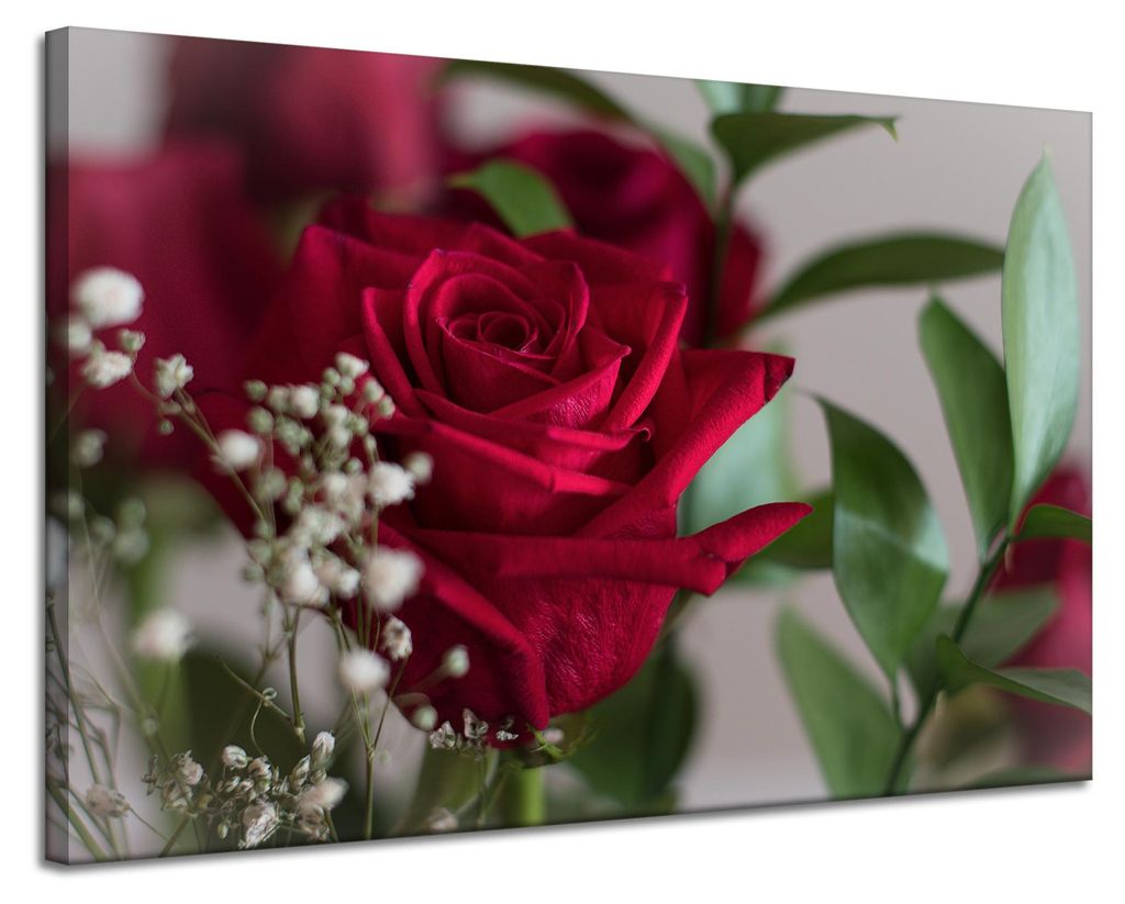 Leinwanddruck Botanische rote Rosen 120x80 cm