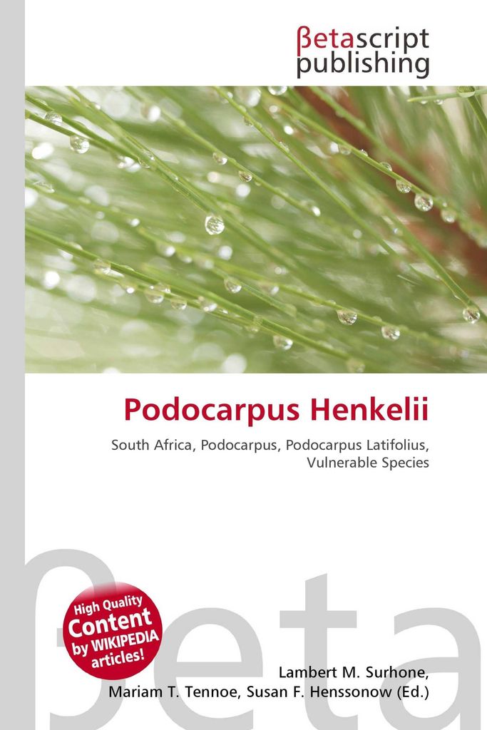 Podocarpus Henkelii