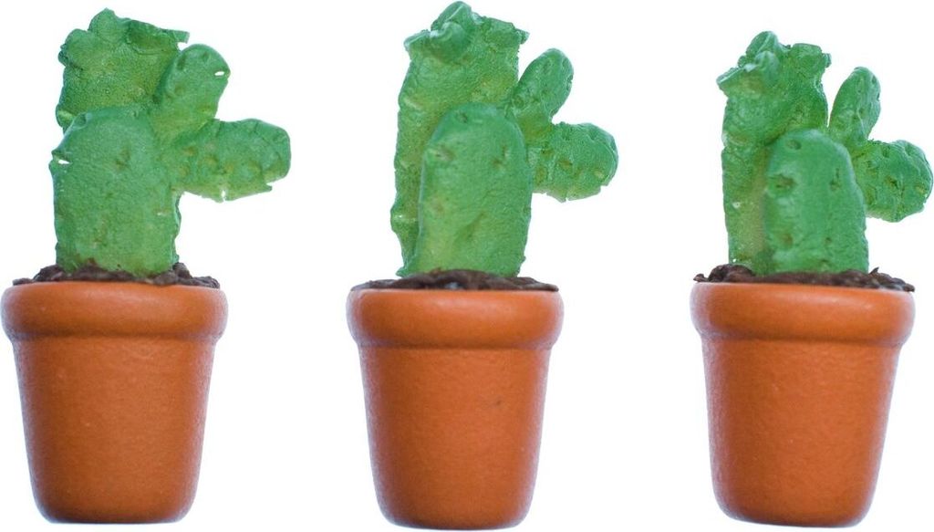 3x Kaktus Puppenhaus Puppenstube Puppenzubehör Kakteen Pflanze einstämmig