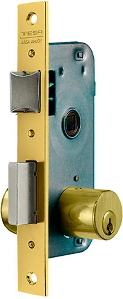 Serrure à mortaiser Tesa Assa Abloy 200050HL en bois bronze entrée 50mm