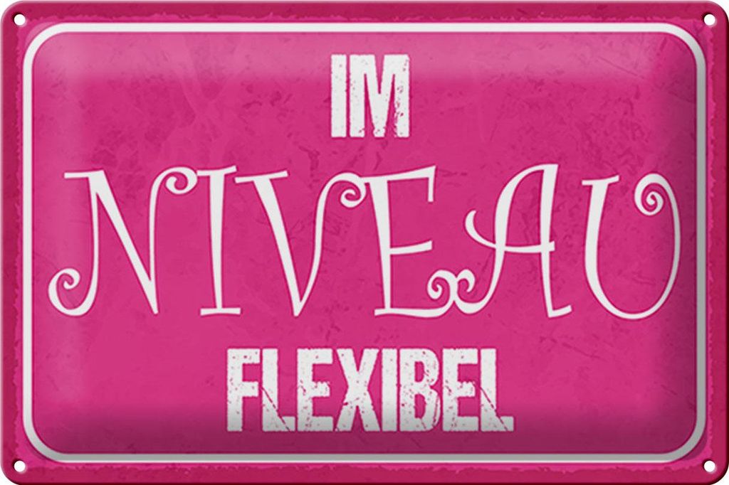 Blechschild Spruch 30x20cm Im NIVEAU flexibel Produktbild 