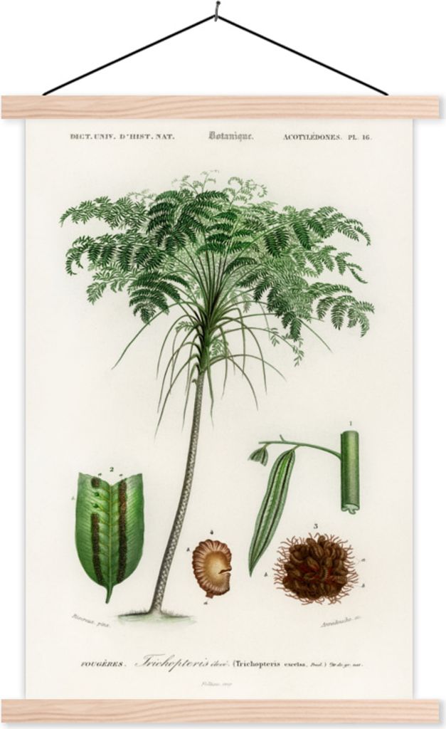 MuchoWow Textilposter Baum - Vintage - Saatgut 60x90 cm mit holzfarbenen Rahmen - Textil