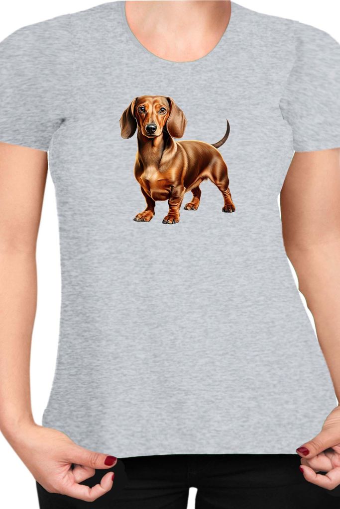 Damen T-Shirt Dogs Breeds Dachshund Dog Breed 007, Lady 2XL / Grau