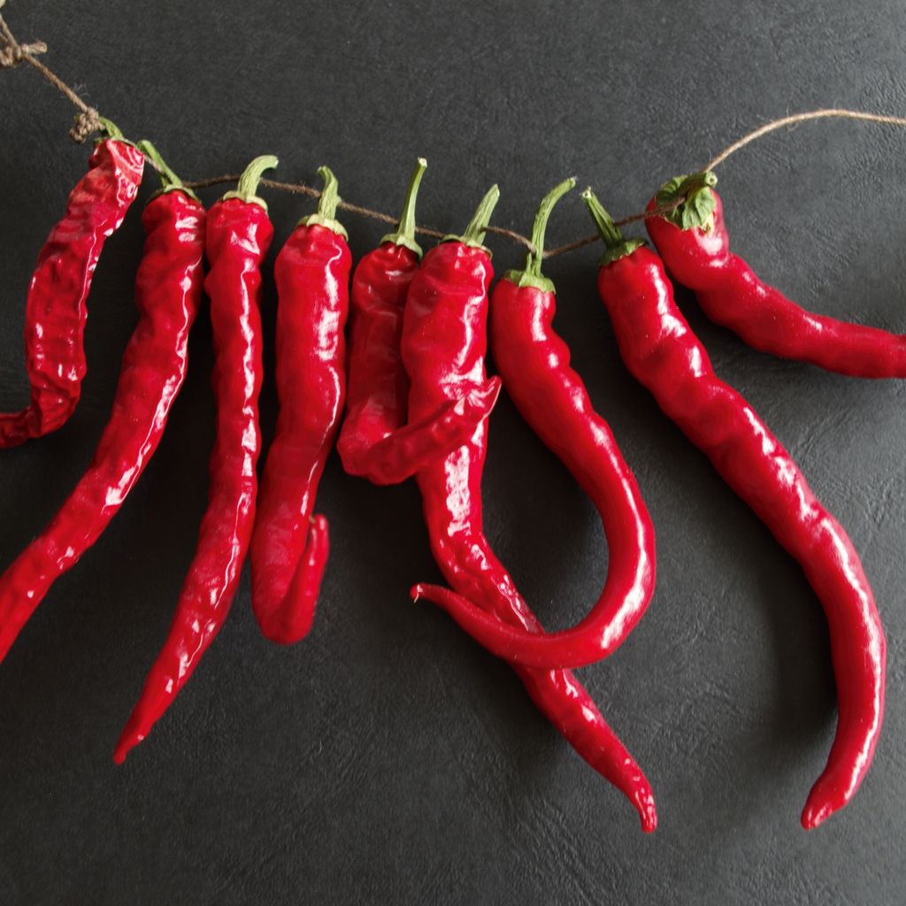 Chili De Cayenne Samen - Capsicum annuum - Chilisamen - Produktbild 5