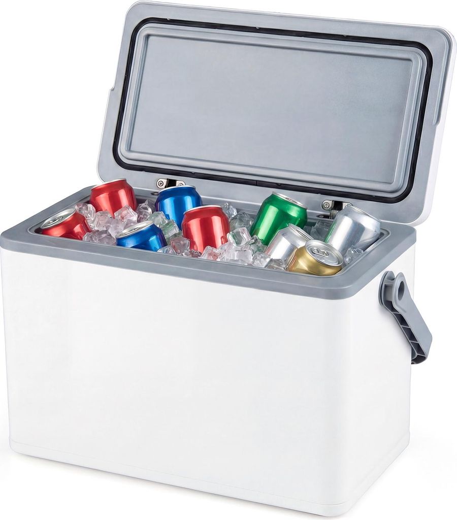 COSTWAY Tragbare Hartschalen-Kühlbox, 12 L isolierte Kühlbox mit Komfortgriff, auslaufsichere Kühltruhe hält Eis 3 Tage, Camping Kühlschrank, ...