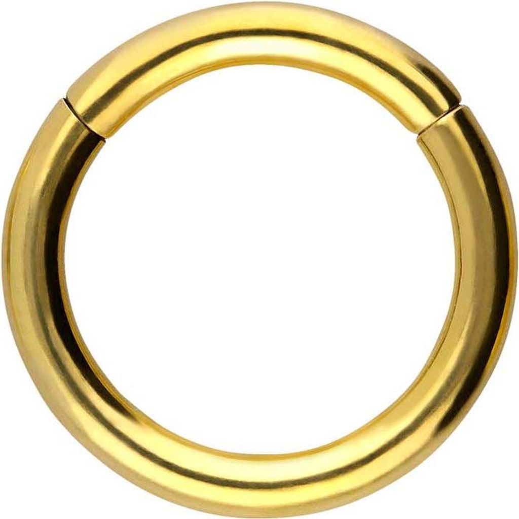 Ohrpiercing, Nasenpiercing, Septum Piercing Chirurgenstahl Segmentring Clicker Gold Innendurchmesser: 14mm + Stabstärke: 2,5mm