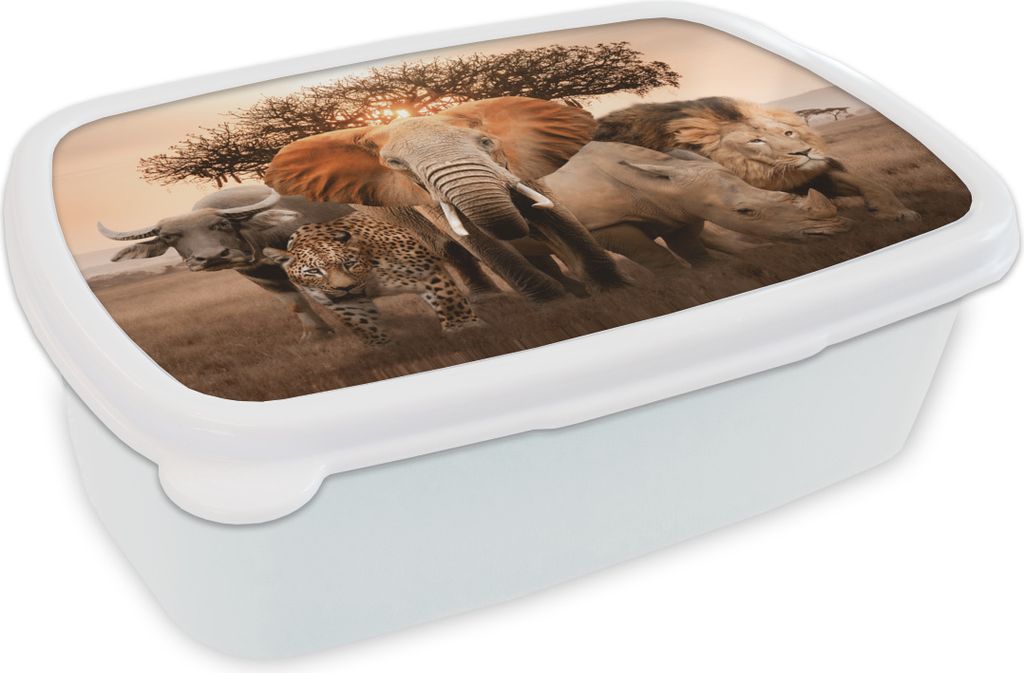 KitchenYeah Lunchbox Brotzeit Brotdose 17x11 cm Tiere - Elefant - Löwe Kinder Brotzeitdose - Lunch Box - Kinder - Sandwich-Box - Schulbox - Lunc...