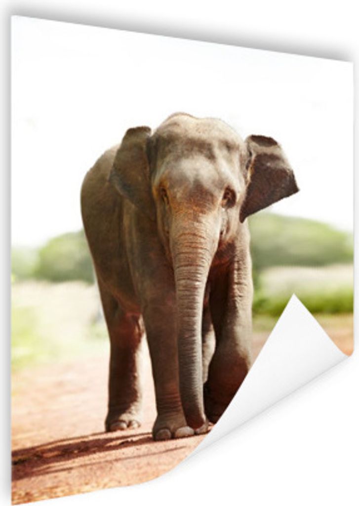 MuchoWow Poster Laufender Elefant 120x160 cm - Wandbilder