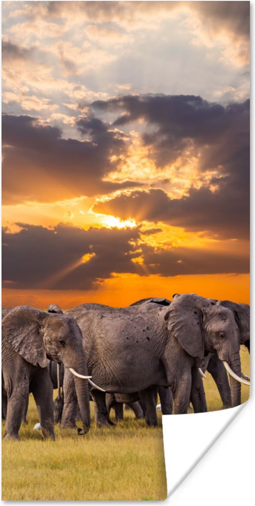 MuchoWow Poster Elefantenherde an einem See 80x160 cm - Kinderzimmer