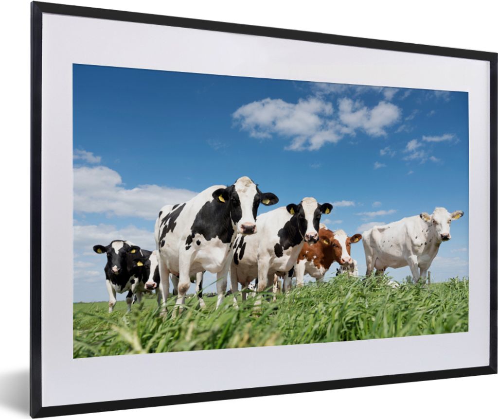 MuchoWow Gerahmtes Poster Kühe - Landleben - Weide - Natur - Tiere 60x40 cm - Poster mit Schwarzem Bilderrahmen Wandposter Rahmen Foto Bilder - ...