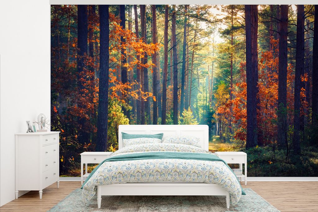 MuchoWow Fototapete für Wohnzimmer oder Schlafzimmer Wandtapete Vinyl Motivtapete Wald - Sonne - Natur - Herbst - 345x220 cm - Wohnzimmertapete