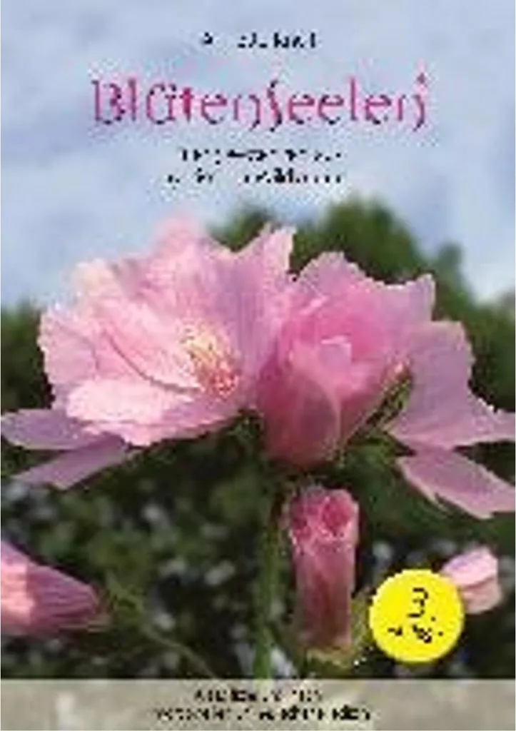 BlütenSeelen Spray aux Extraits de Fleurs de Bach Bio pour Stress et Zen