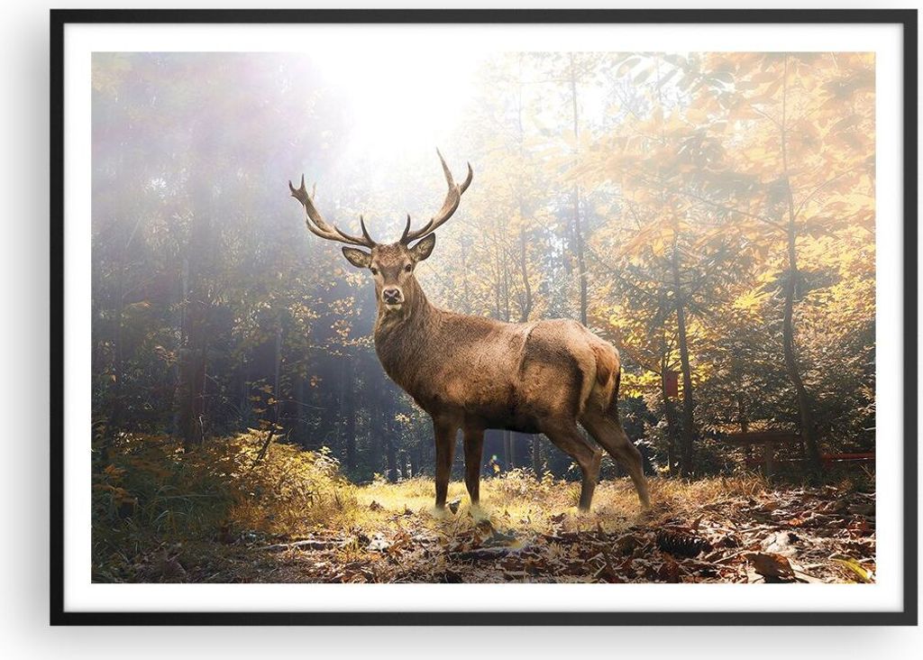 Gerahmtes Poster - Schwarzer Rahmen - Licht Hirsch Wald - 100x70 cm - Wand Bild - Wanddeko - Wandbilder - Kunstposter - Wandposter - Bilderrahmen -...