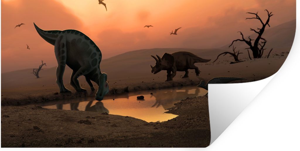 MuchoWow Wandtattoo Wandsticker Wandaufkleber Dinosaurier - Wilde Tiere - Zeichnung - Kinder - Kind 160x80 cm Selbstklebend und Repositionierbar ...