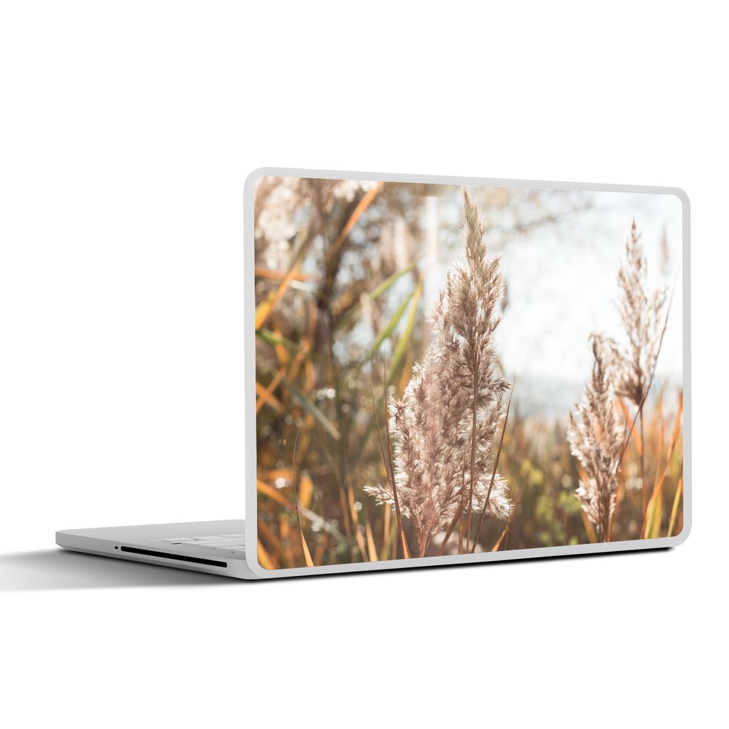 MuchoWow Laptop Aufkleber Sticker Cover Schilf - Sonne - Pflanze 36.5x27.5 cm - Laptop-Sticker