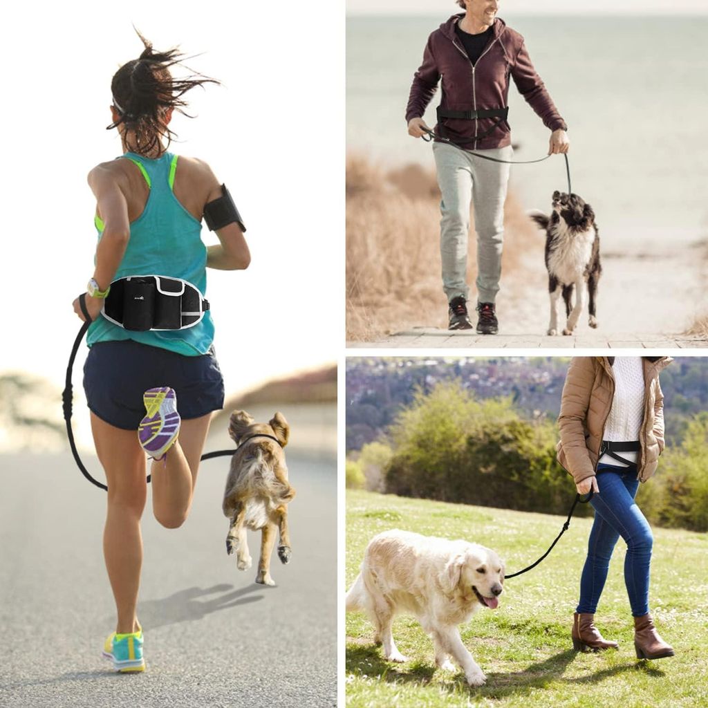 Hundenleine mit Bauchriemen, Joggingleine, Hundeleine für große und mittelgroße Hunde, Hundeleine mit Taschen, elastische Leine für Hunde, Hund...